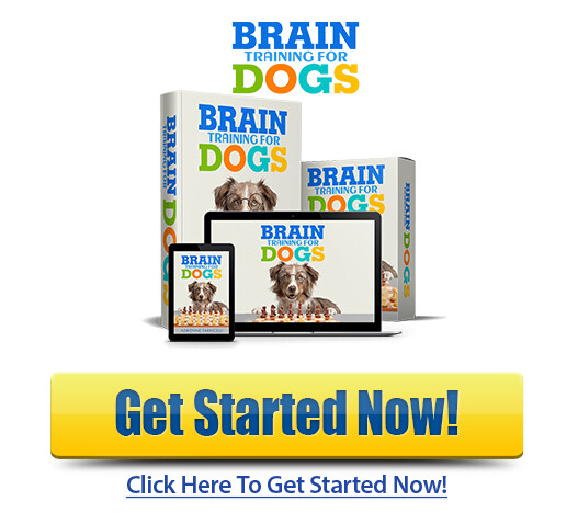 Download Brain Training for Dogs PDF